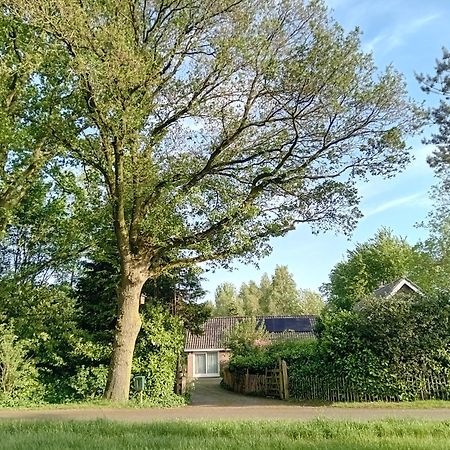 Ruim Huisje Op Een Prachtige Plek Hemrik Eksteriør billede