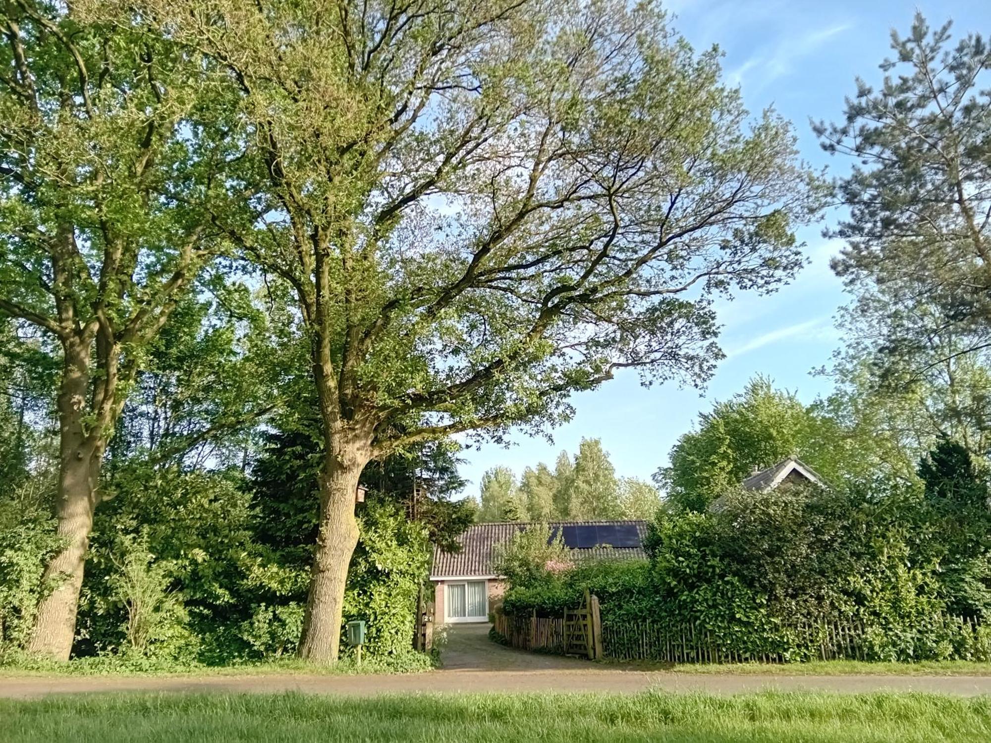 Ruim Huisje Op Een Prachtige Plek Hemrik Eksteriør billede